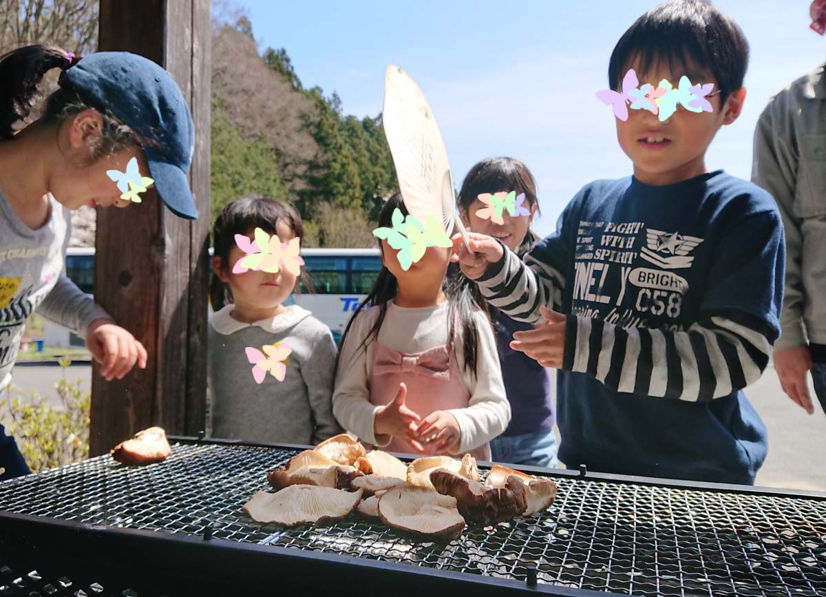 収穫した椎茸を焼く