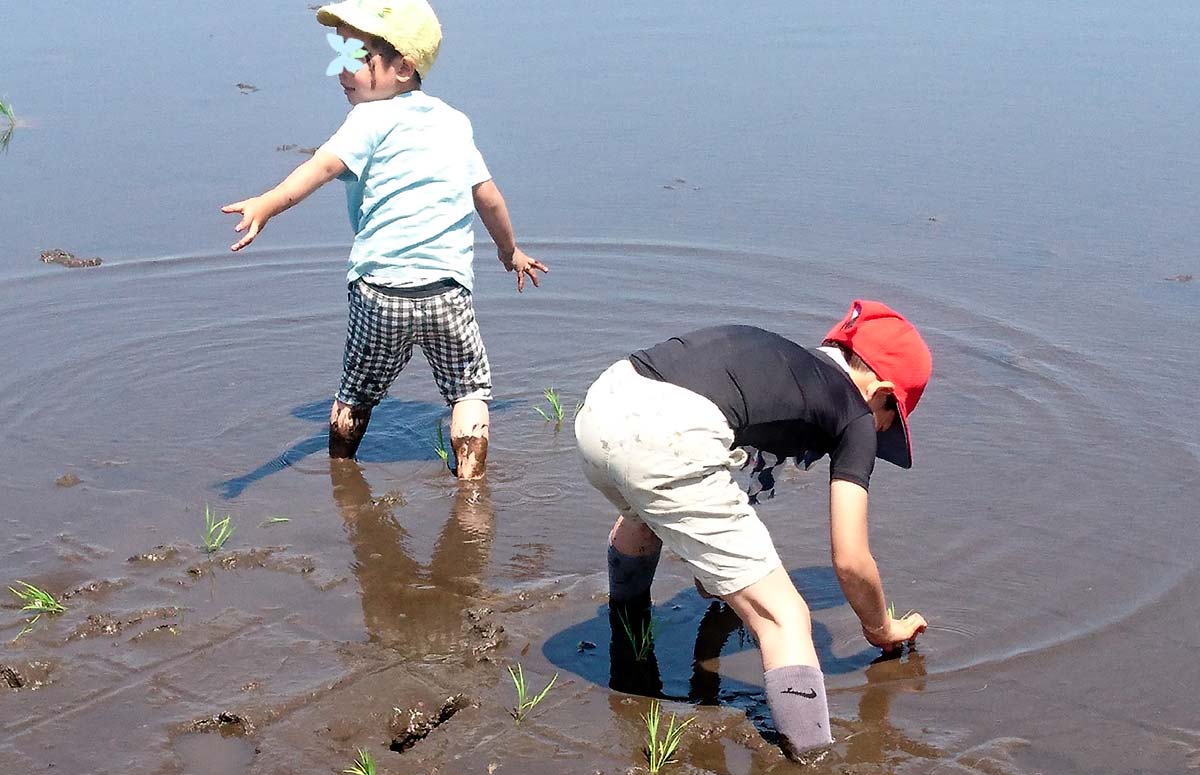 楽しそうな子どもたち