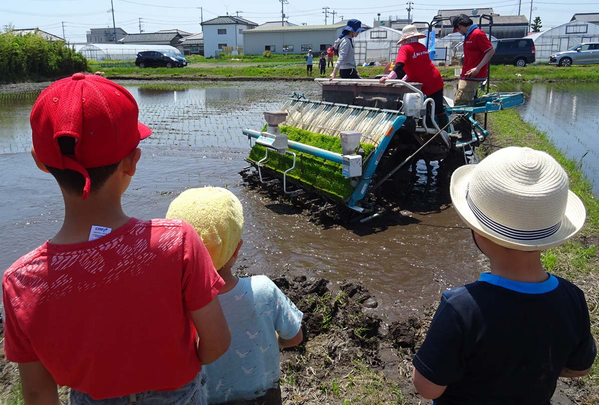 大人も乗せてもらいました