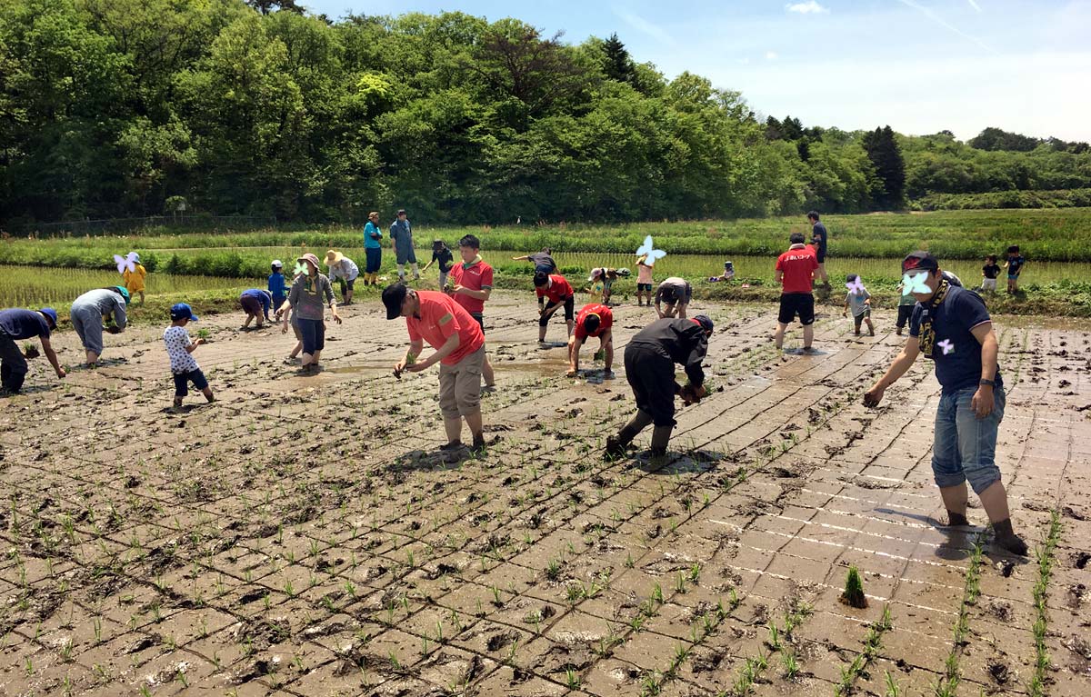 線に沿ってきれいに