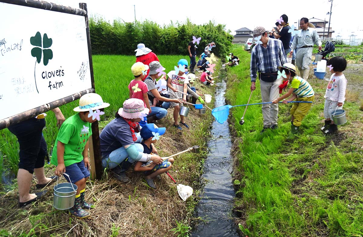 田んぼの生き物調べ