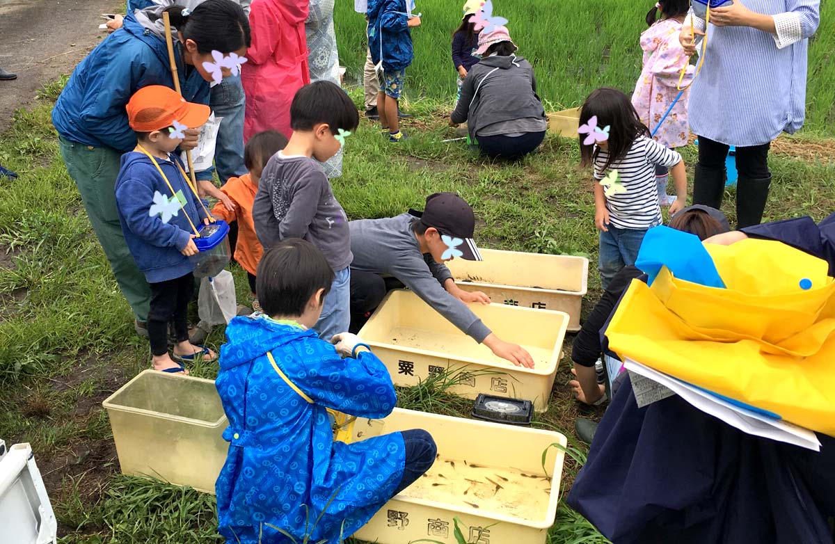 終わる気配を見せない生き物観察会