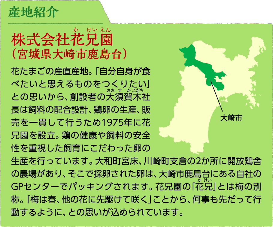 産地紹介:株式会社花兄園（宮城県大崎市鹿島台）花たまごの産直産地。「自分自身が食べたいと思えるものをつくりたい」との思いから、創設者の大須賀木社長は飼料の配合設計、鶏卵の生産、販売を一貫して行うため1975年に花兄園を設立。鶏の健康や飼料の安全性を重視した飼育にこだわった卵の生産を行っています。大和町宮床、川崎町支倉の2か所に開放鶏舎の農場があり、そこで採卵された卵は、大崎市鹿島台にある自社のGPセンターでパッキングされます。花兄園の「花兄」とは梅の別称。「梅は春、他の花に先駆けて咲く」ことから、何事も先だって行動するように、との思いが込められています。